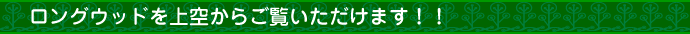 ロングウッドを上空からご覧いただけます！！